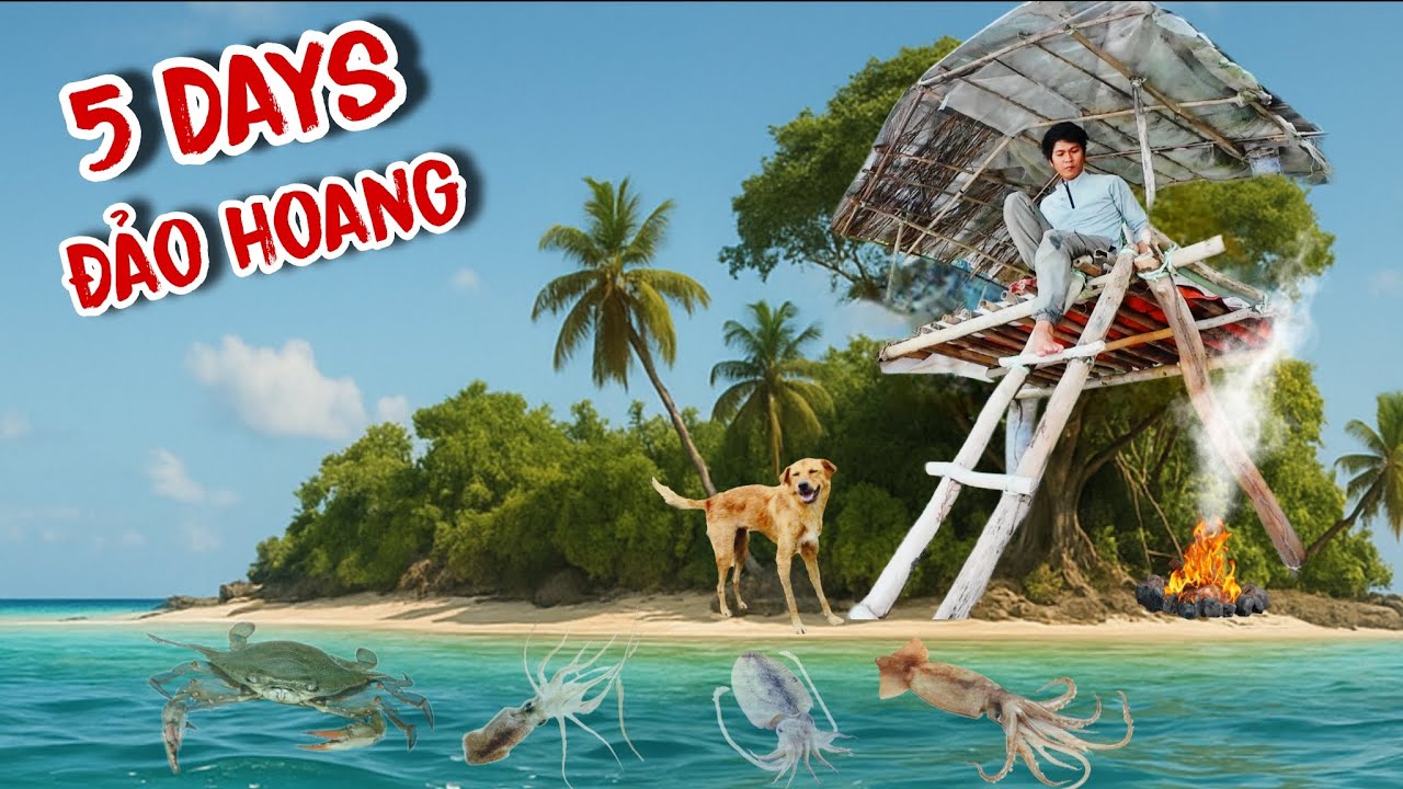 5 ngày sống ở ngôi nhà trên cây cùng với chú chó trên hòn đảo hoang
