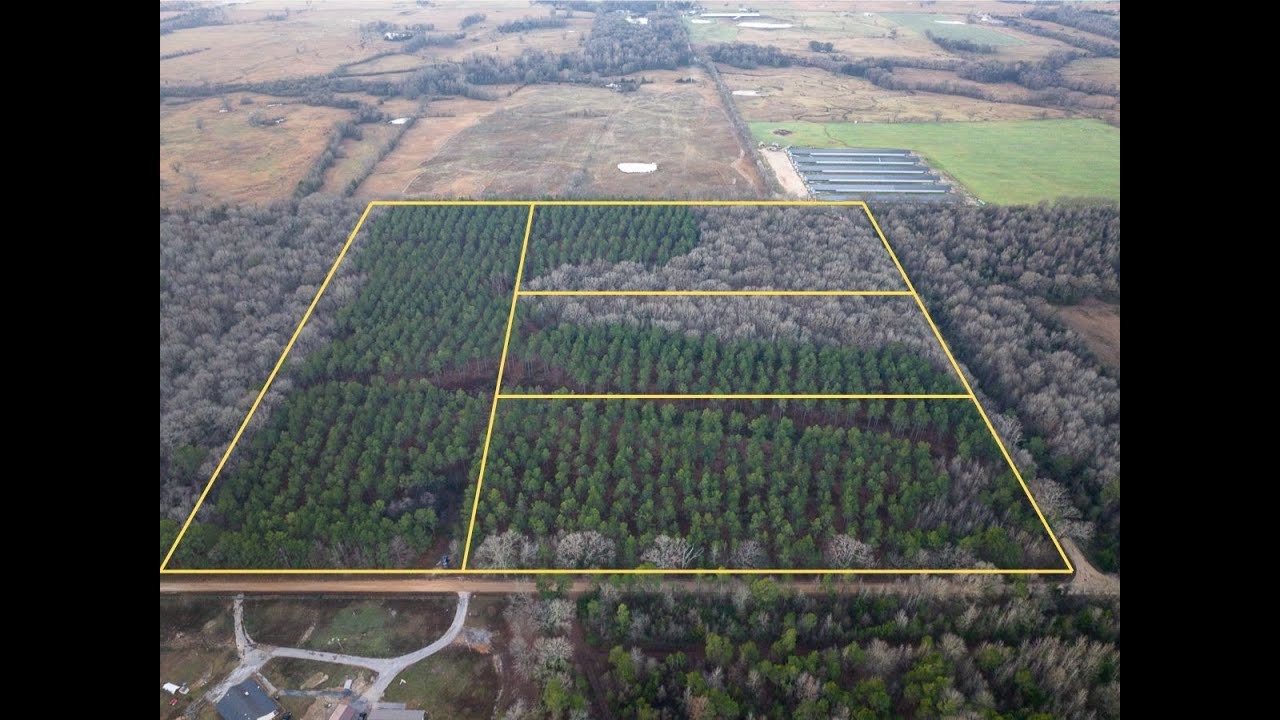 Various Tracts | County Road 4302 | Bowie Co., Texas