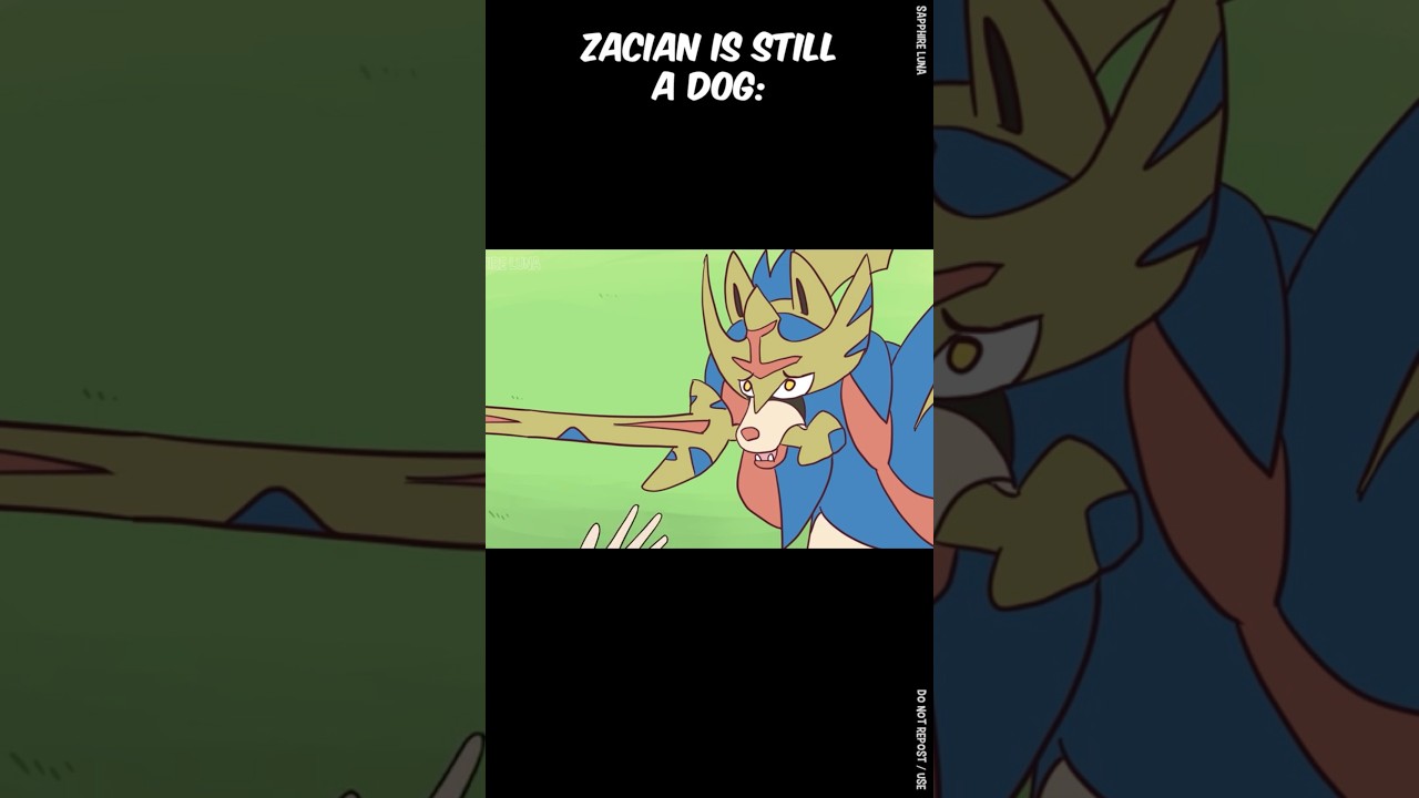 Zacian is a good boi  #pokemon