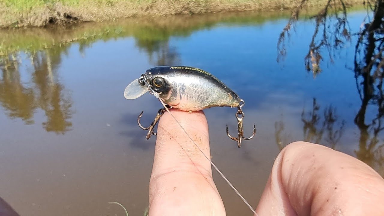 Esta micro isca artificial não pode faltar na sua pescaria - Pesca ultralight de saicanga