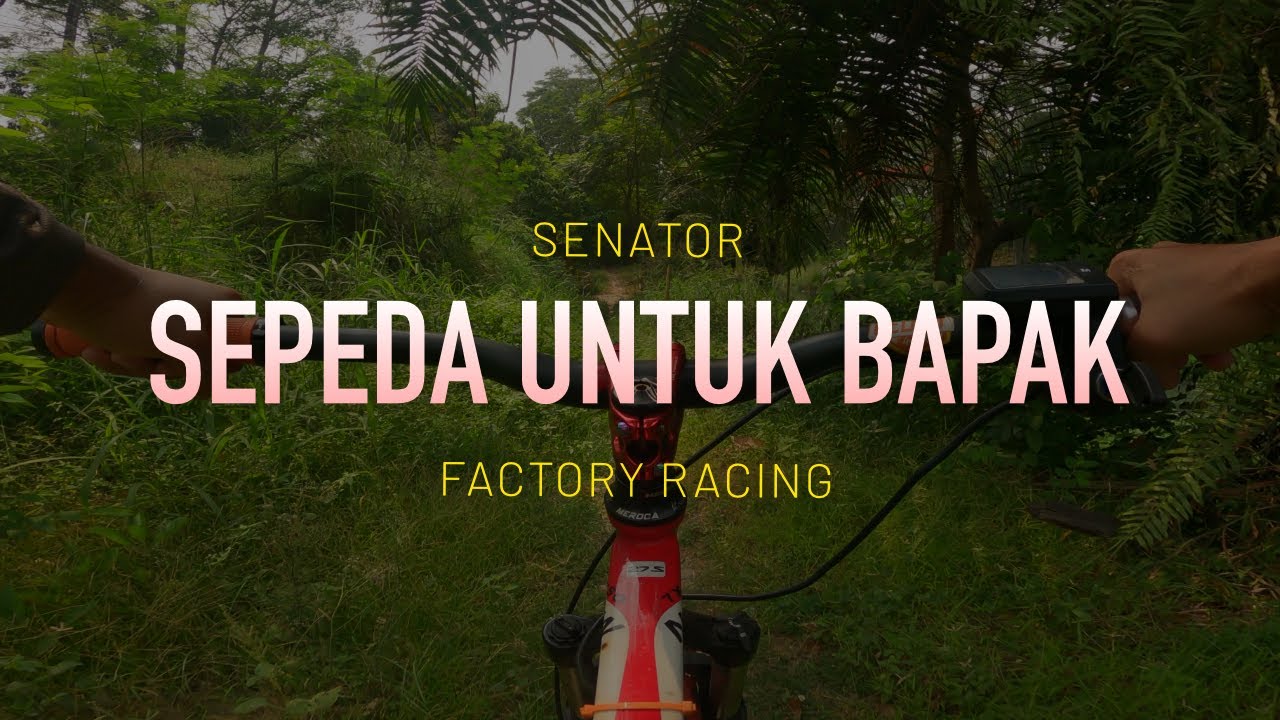 Mencoba Senator Factory Racing di Mookervart Bike Park