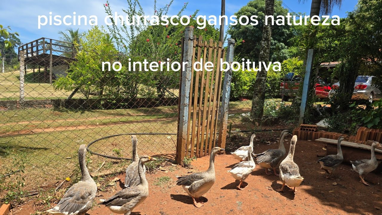 UM DIA COMIGO NO INTERIOR DE BOITUVA NA CHÁCARA DOS PADRINHOS DO MEU ESPOSO