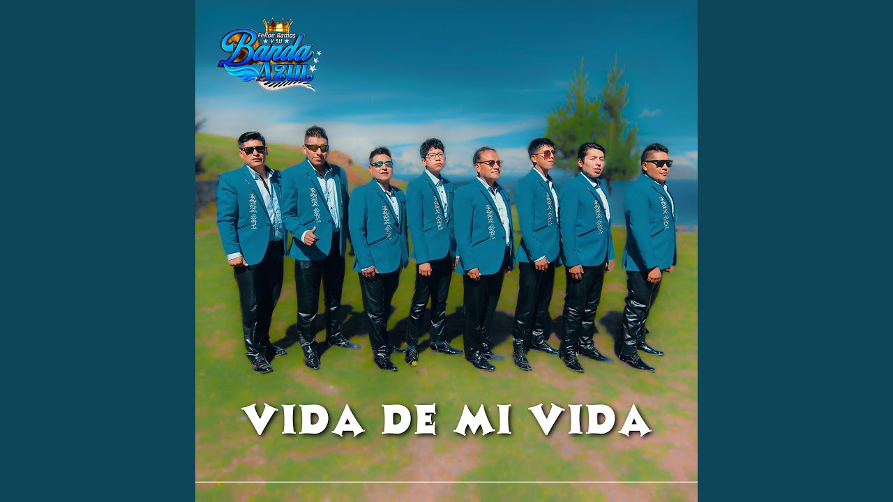 Vida De Mi Vida