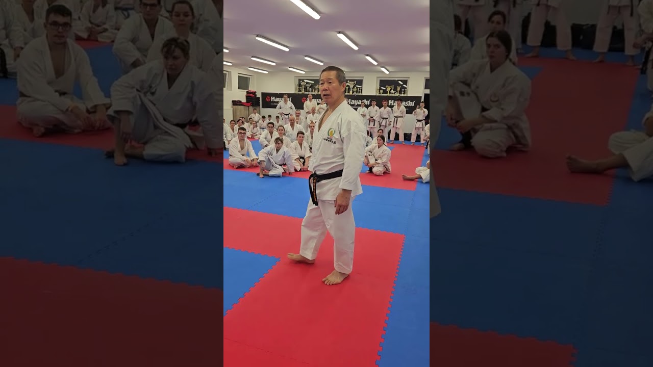 Kagawa Shihan teaching the jump in Unsu. Budapest March 2024
