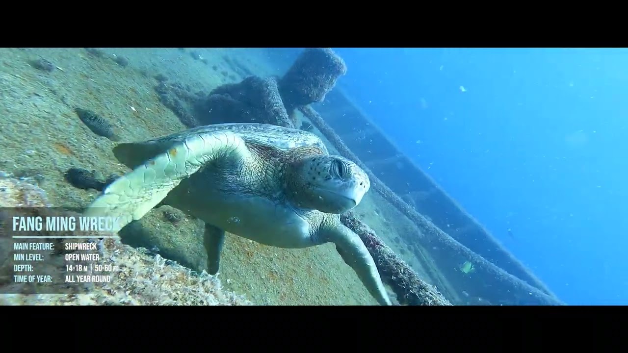 The Fang Ming Wreck Dive Site Info - The Dive Gurus - La Paz, Baja California Sur, Mexico