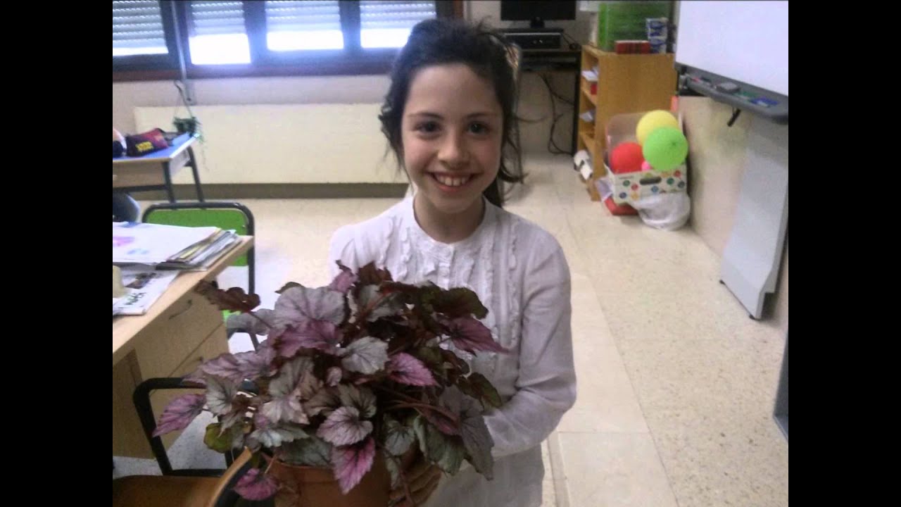 Apadrinamiento de plantas junio 2014