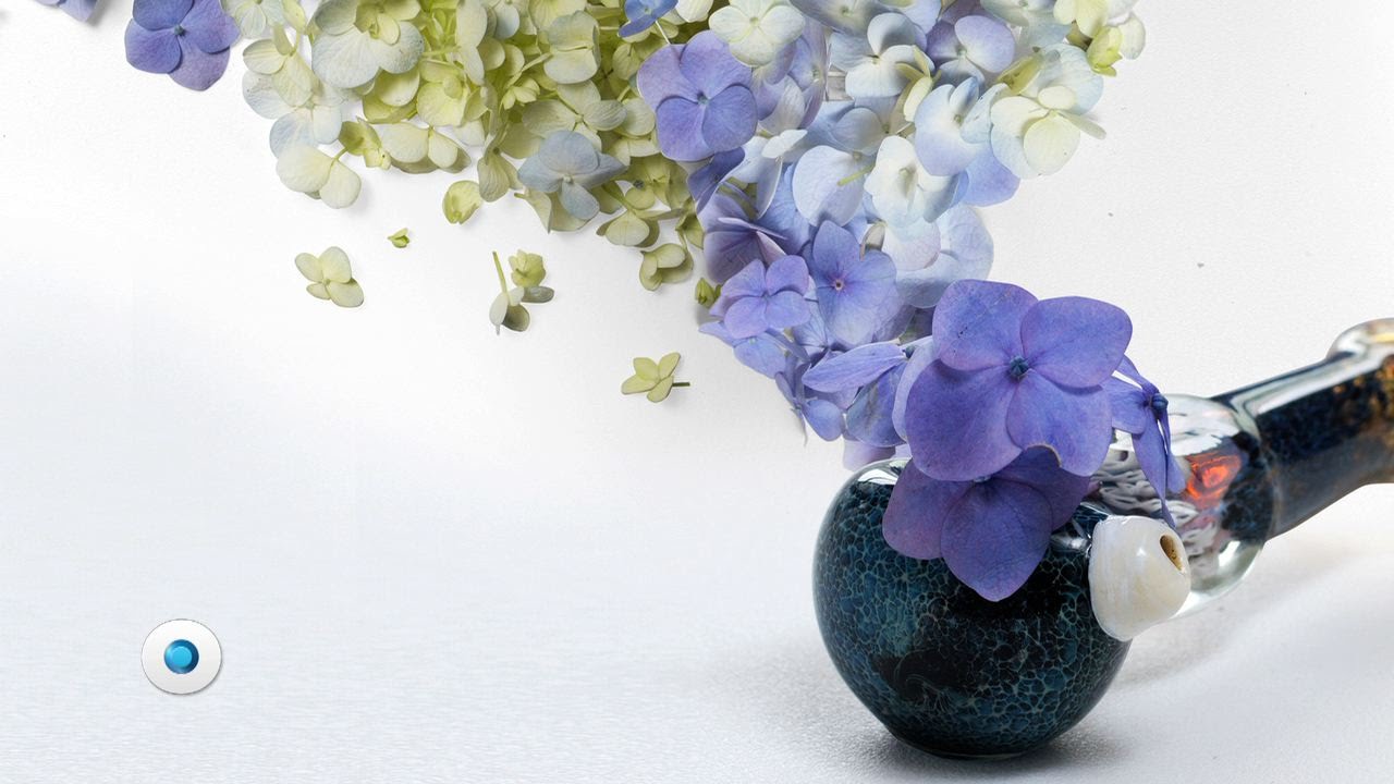 Hortensia: ¿mariguana legal? | Reporte Indigo 1025