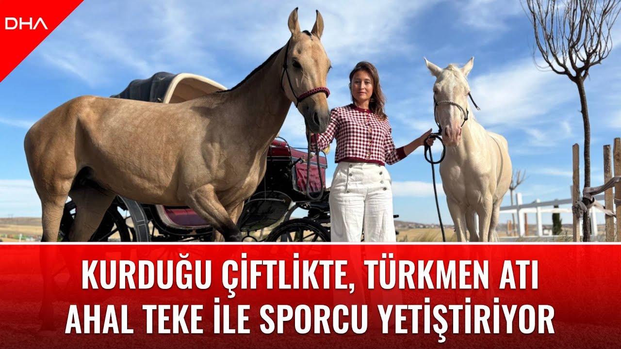 Kurduğu çiftlikte, Türkmen atı Ahal Teke ile sporcu yetiştiriyor