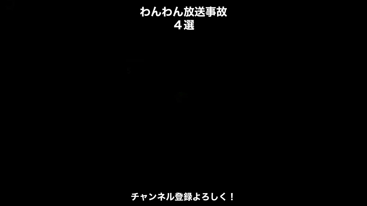 わんわん放送事故集４選#shorts