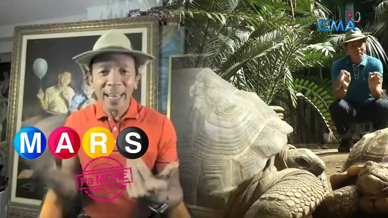 Kuya Kim, ibinida ang kanyang pagong collection! | Mars Pa More