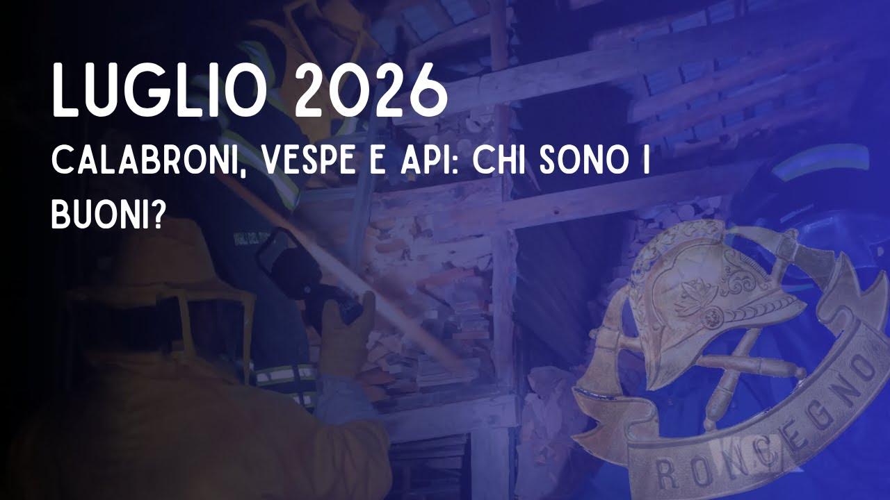 calendario 2026: LUGLIO CALABRONI, VESPE E API: CHI SONO I BUONI?