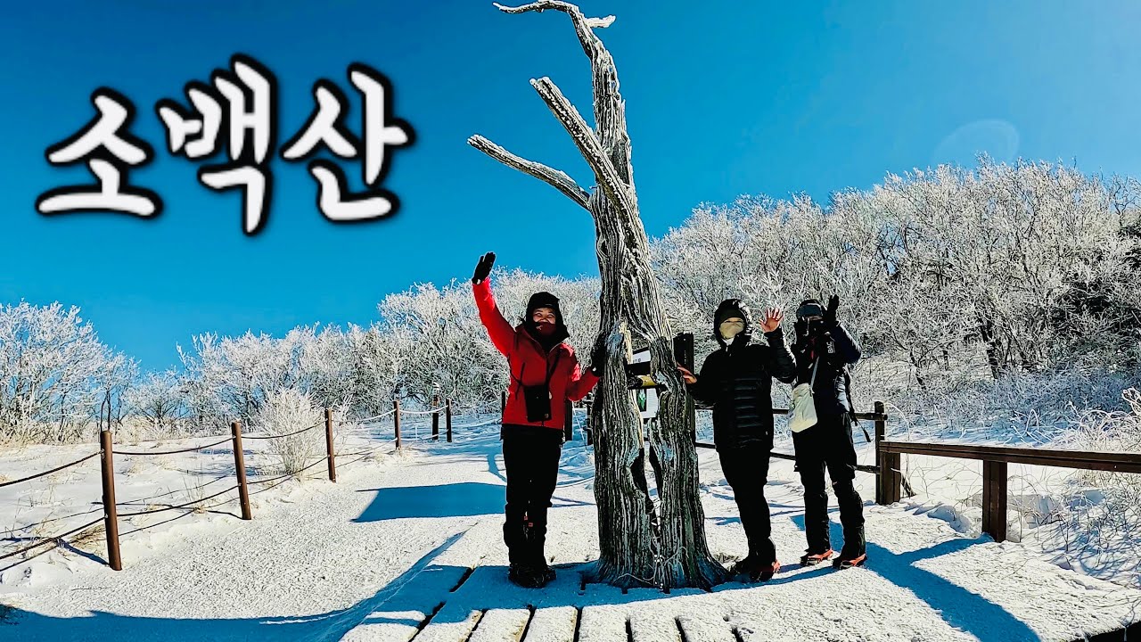 [Hiking] 충북 단양 소백산 등산 | 2024년 마지막날 엄마에게 하얀 눈꽃 핀 설산을 선물해 드렸어요🤍| 천동 코스 | 소백산 국립공원 | 100대 명산 | 100대 명품숲