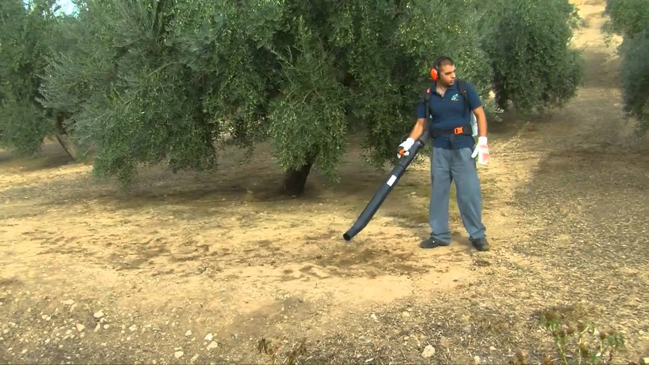 Tierra Fertil. Sector Primario. Uso y Mantenimiento Sopladora.