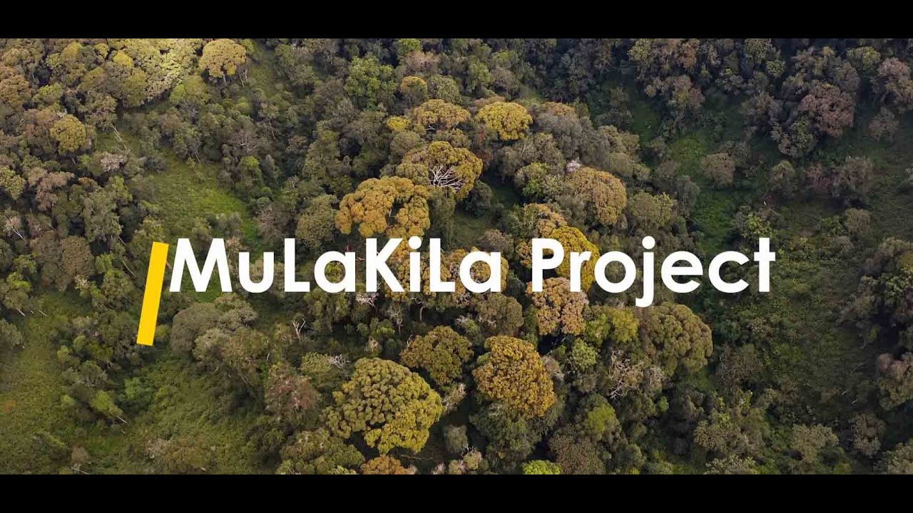 MuLaKiLa Project First Year Impact