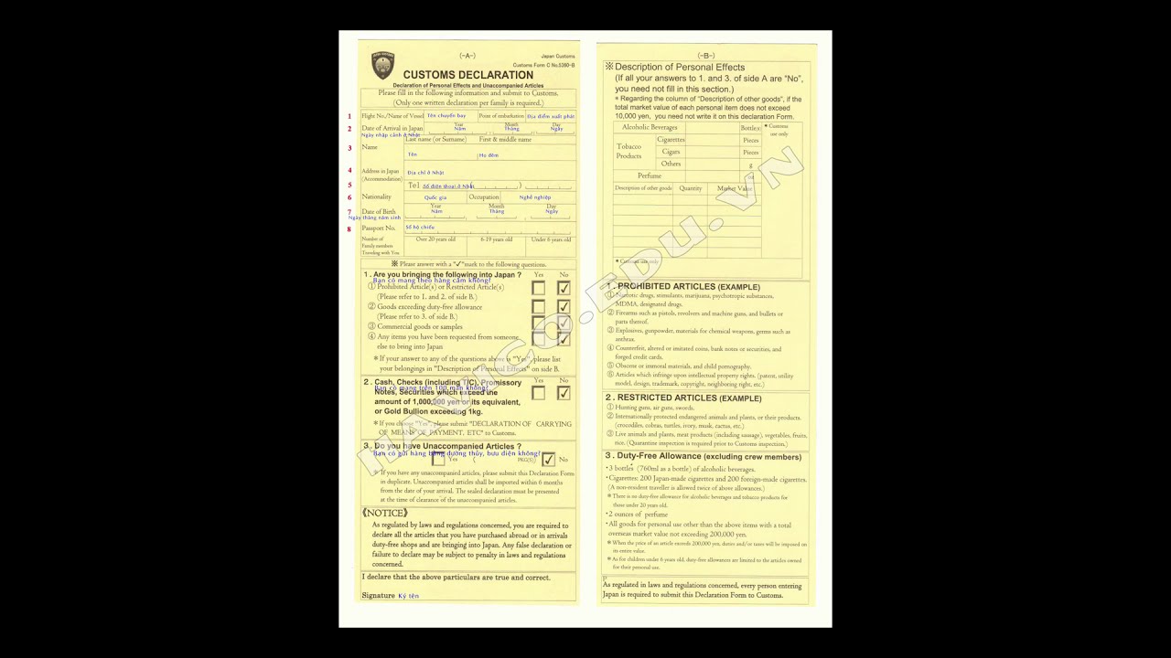 Hướng dẫn làm thủ tục hải quan (thủ tục nhập cảnh) tại sân bay Nhật Bản