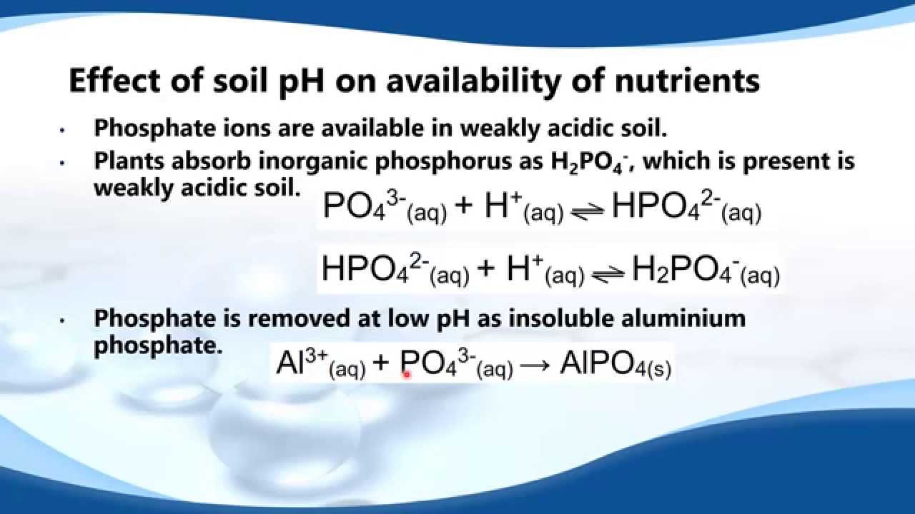E.12.3 Discuss the effects of soil pH on cation-exchange capacity and availability of nutrients.