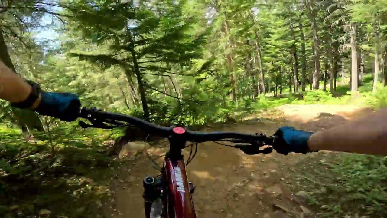 roam in the loam