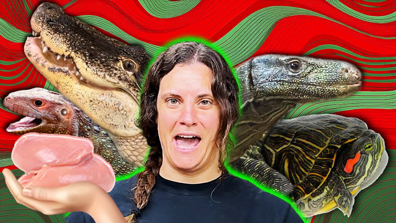 I Fed Every Reptile at the Zoo… and It Was Wild!😳