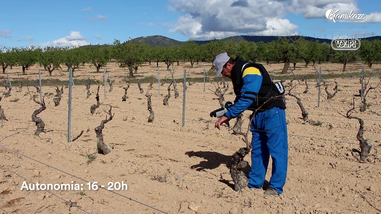 Kamikaze-Volpi KV3 | Viña | Vineyard