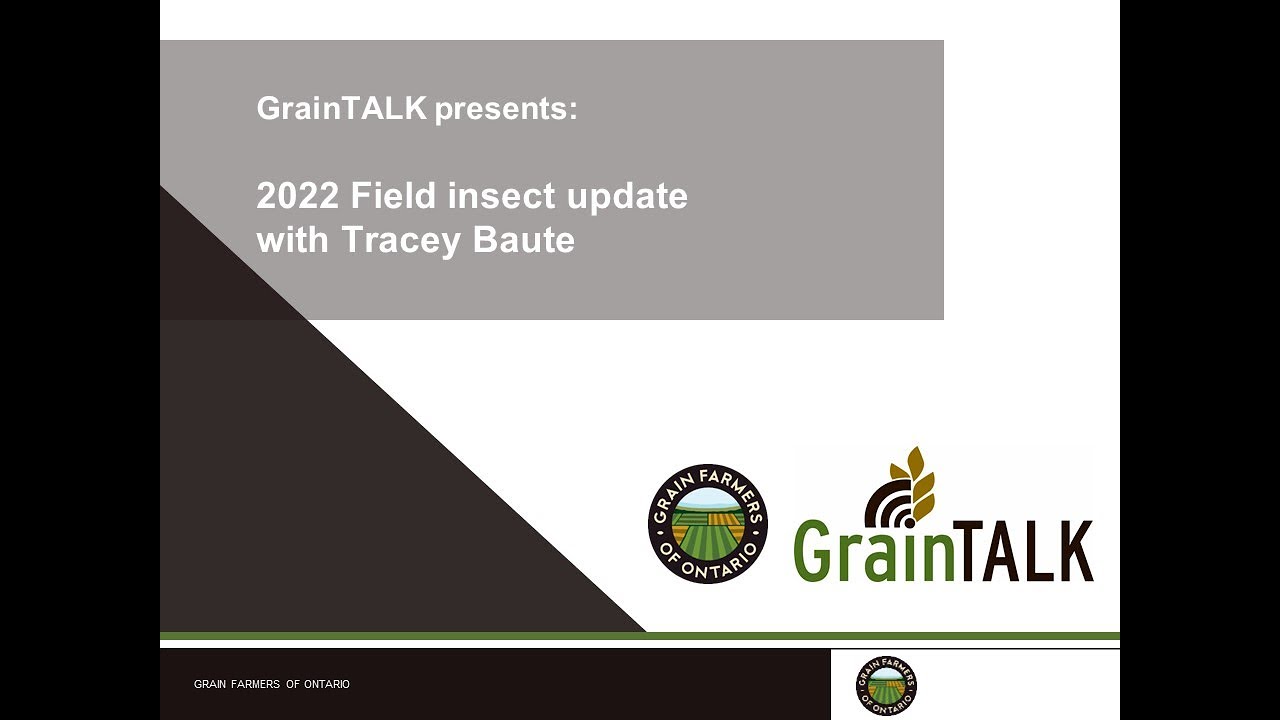 2022 Field Insect Update with Tracey Baute (OMAFRA)