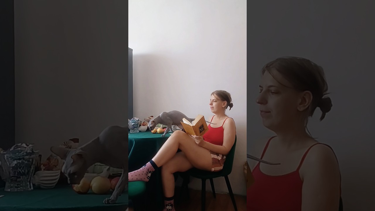 Прочла 