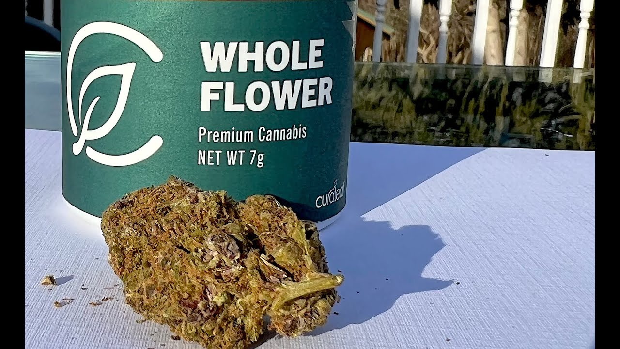 WR11 Weed Report