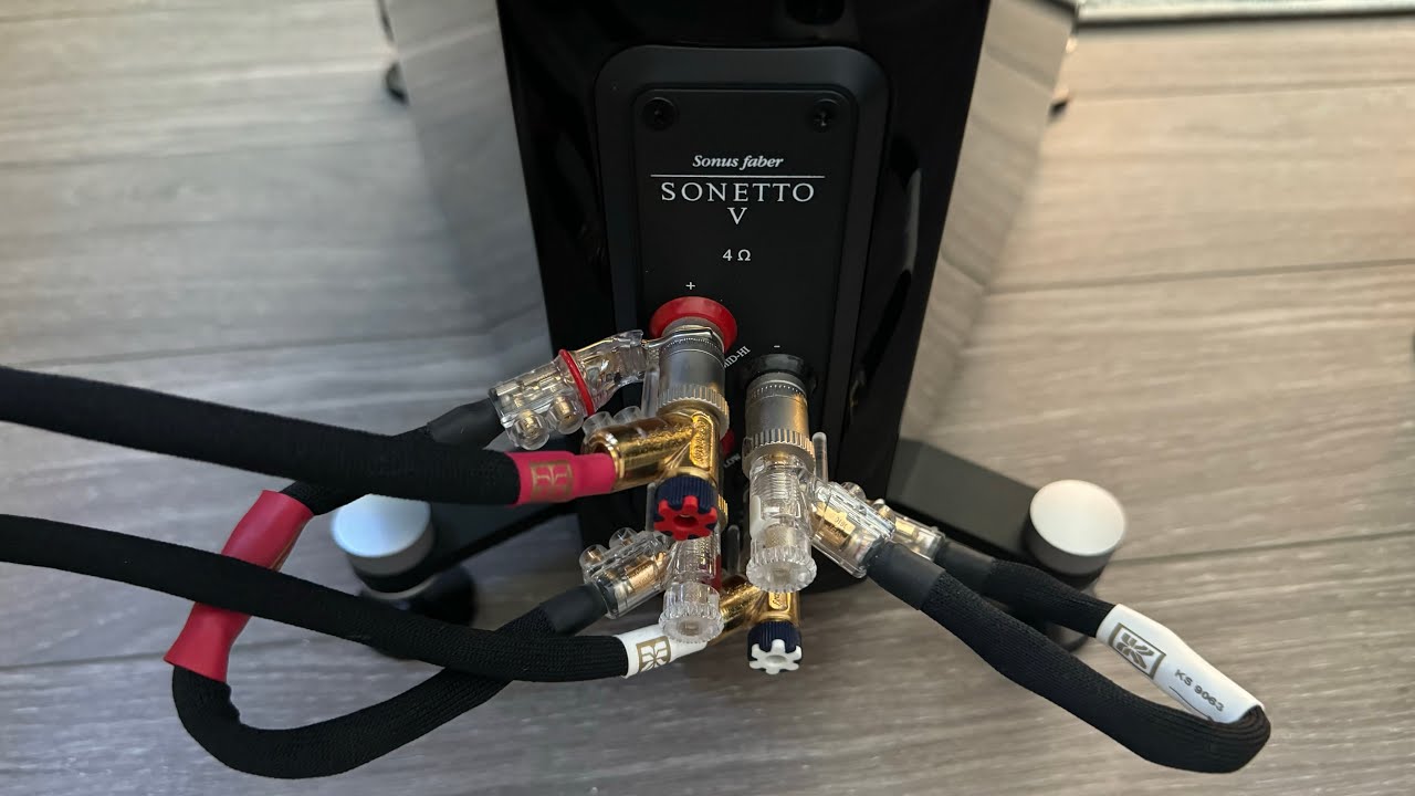 The Huntington Beach Audiophile 
