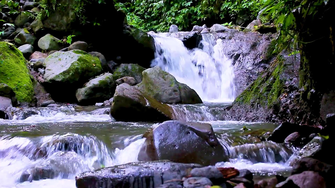 Calm Flowing Forest River | Soothing Nature Sounds for Deep Night Sleep