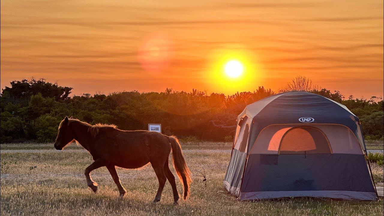 Days 1 & 2 Camping at Assateague State Park