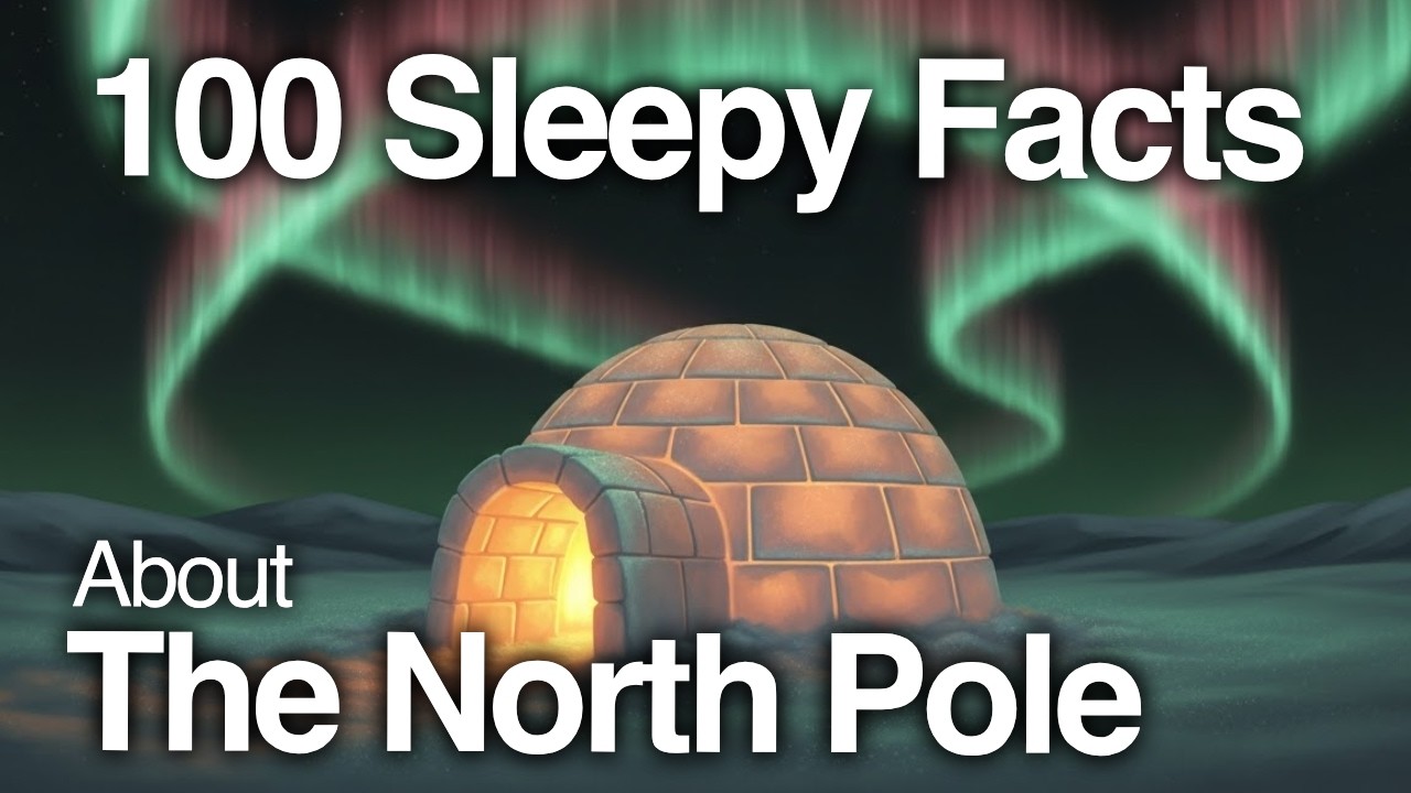 The Most Relaxing Facts About the North Pole to Fall Asleep To