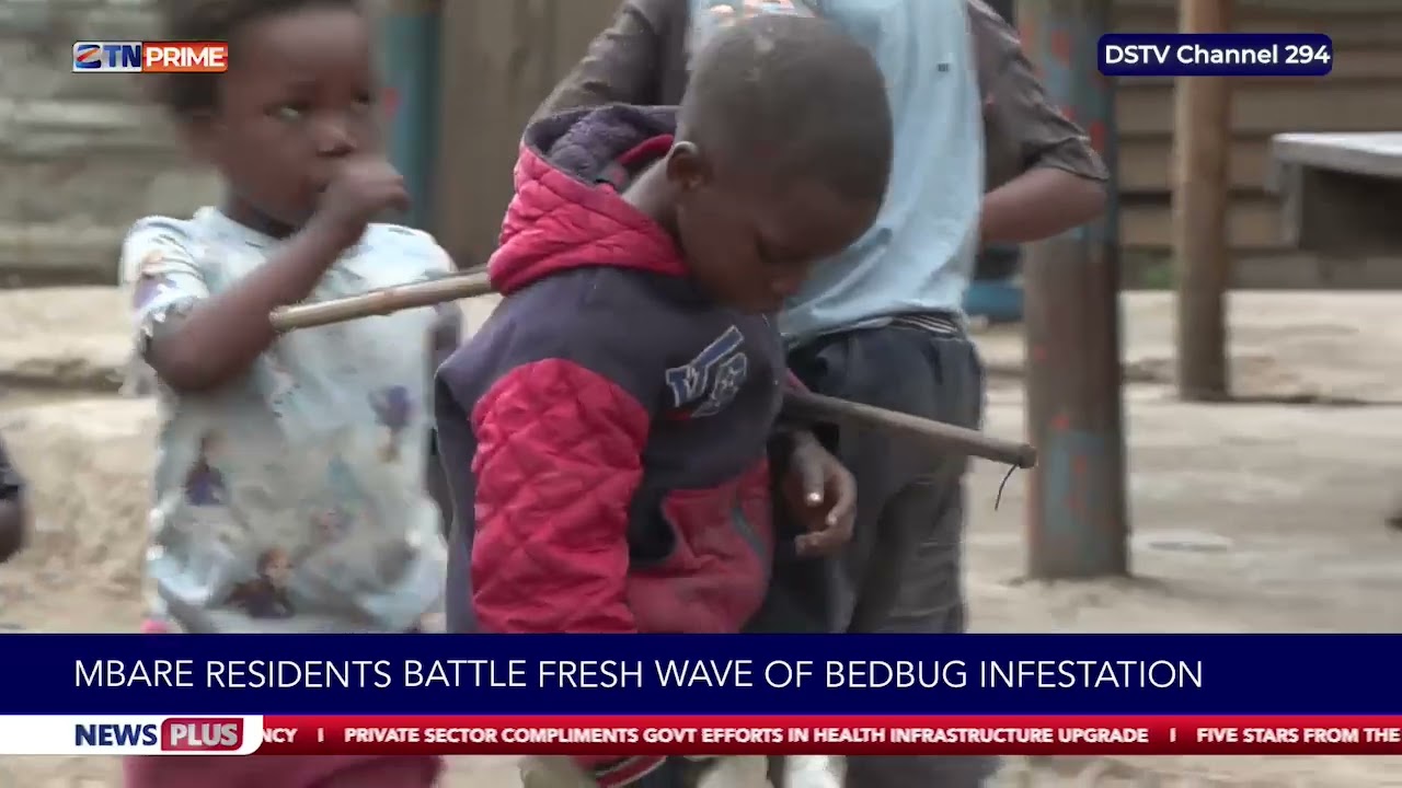 Mbare residents battle fresh wave of bedbug infestation