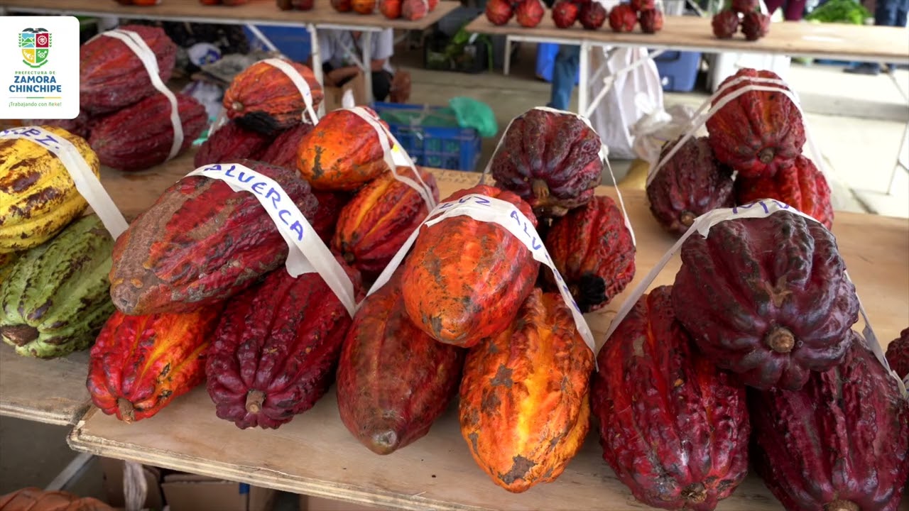 Chinchipe estrena Centro de Exposiciones: Impulso total al agro local 🚜✨