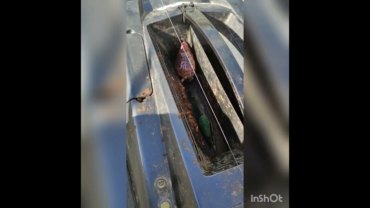 El tajo de arriba a abajo capítulo 2, carpfishing en Buendía