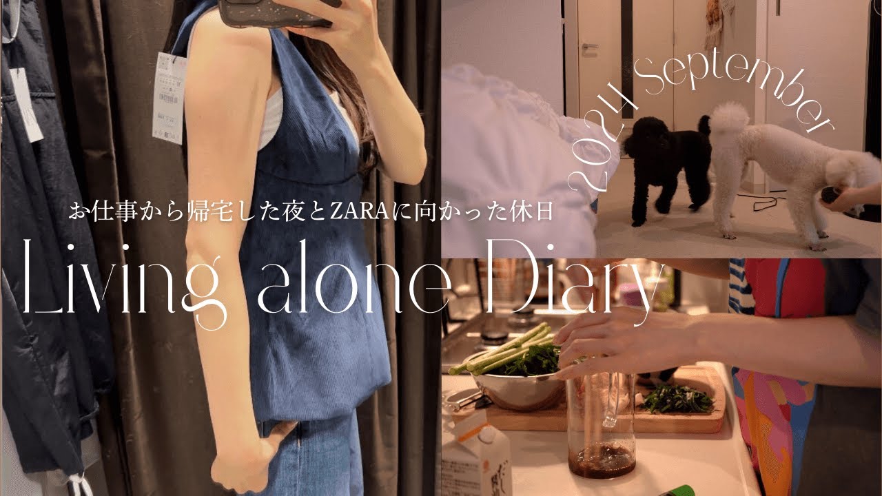 vlog/お仕事から帰宅した夜/30代女子の休日/zara購入品/自炊記録/犬との暮らし🐕/