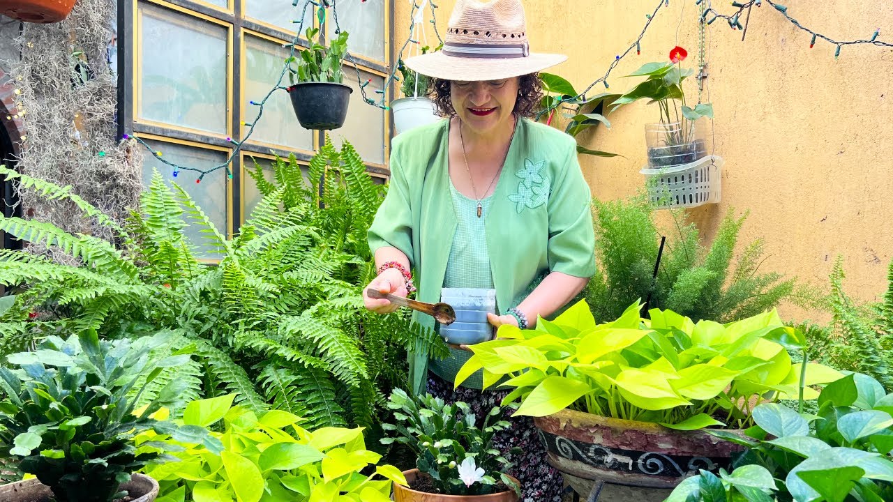 Es hora de que lo sepas: SECRETO que guardé para el Cactus de Navidad