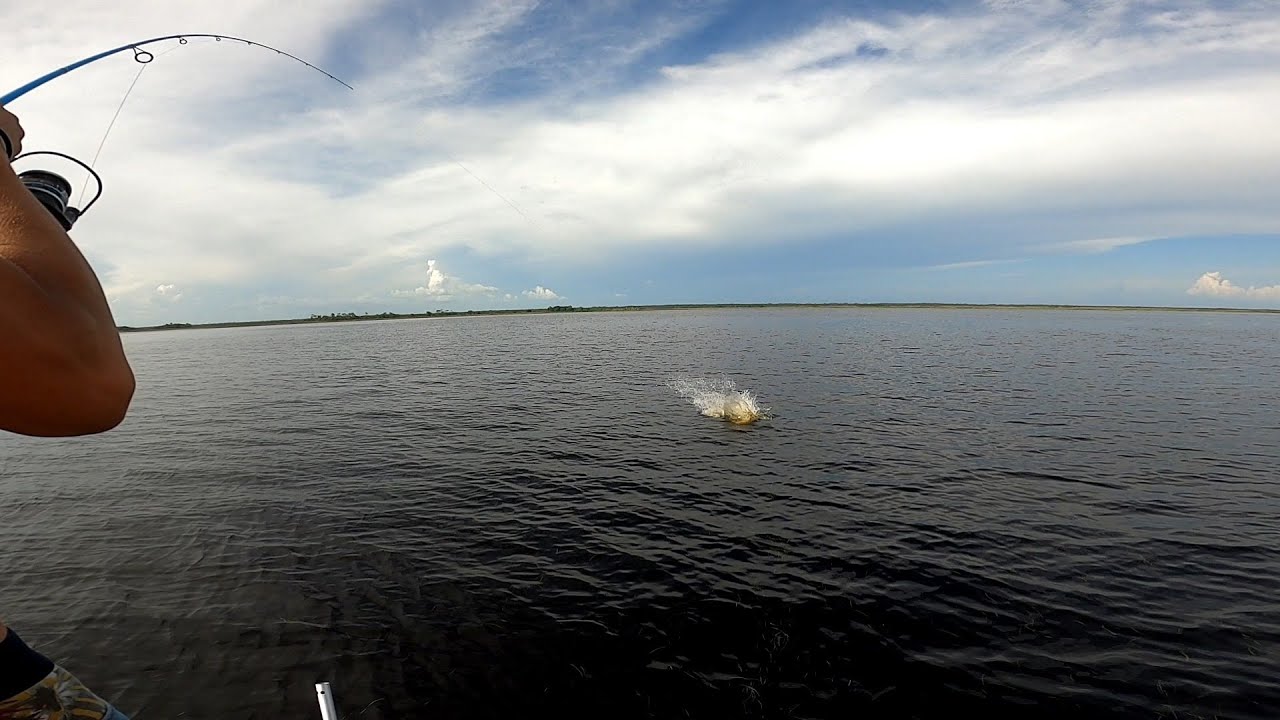 Giant inshore fish on light tackle! (redfish and trout fishing)