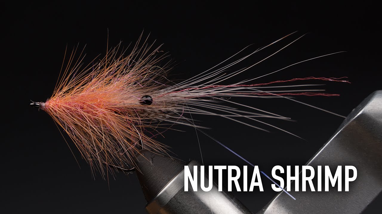 Nutria Shrimp | No Talk Fly Tying