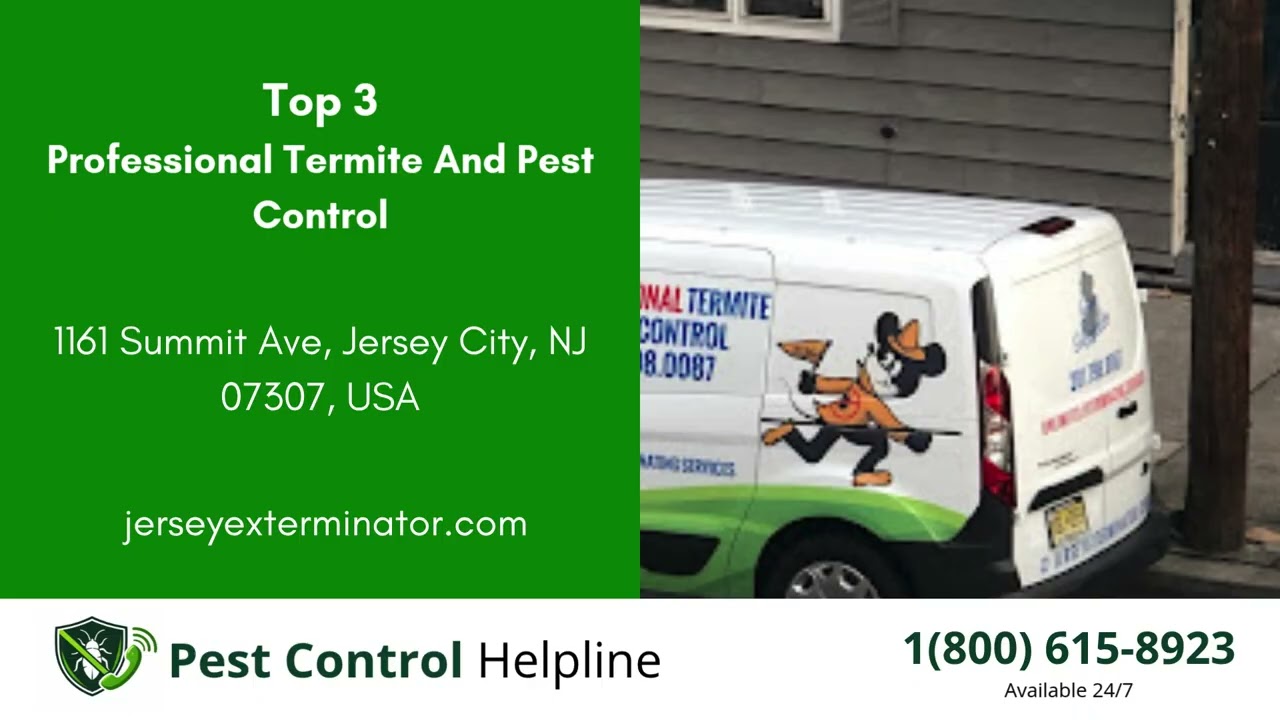 Top 3 Pest Control in Bedford