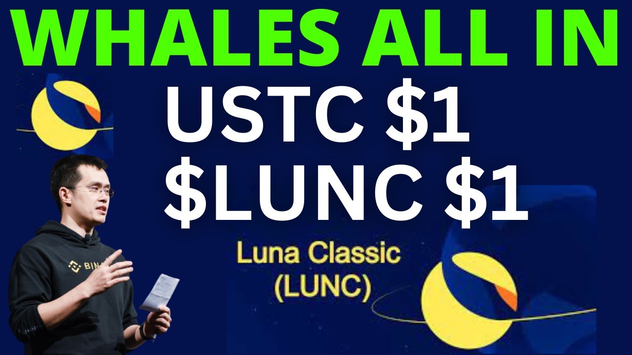 WHALES ABOUT TO MAKE TERRA LUNA $LUNC AND $USTC ITS HIGHEST SMALL CAP HOLDING