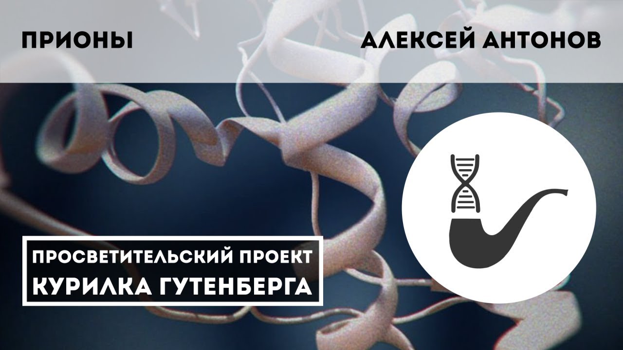 Новые инфекции. Прионы - что это такое? &ndash; Алексей Антонов