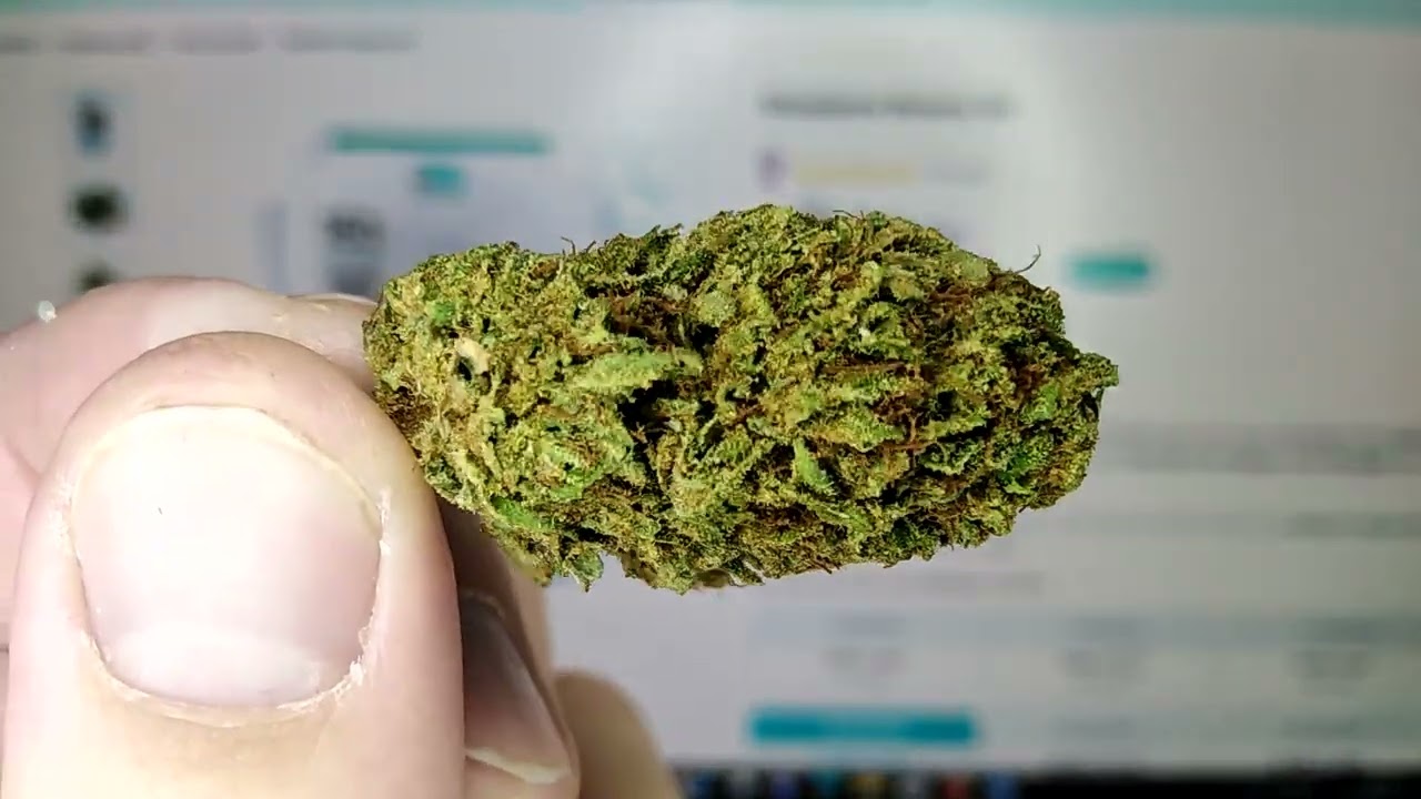 CBD PAS CH&Egrave;RE ! LE MEILLEUR SITE INTERNET DE CBD !!!
