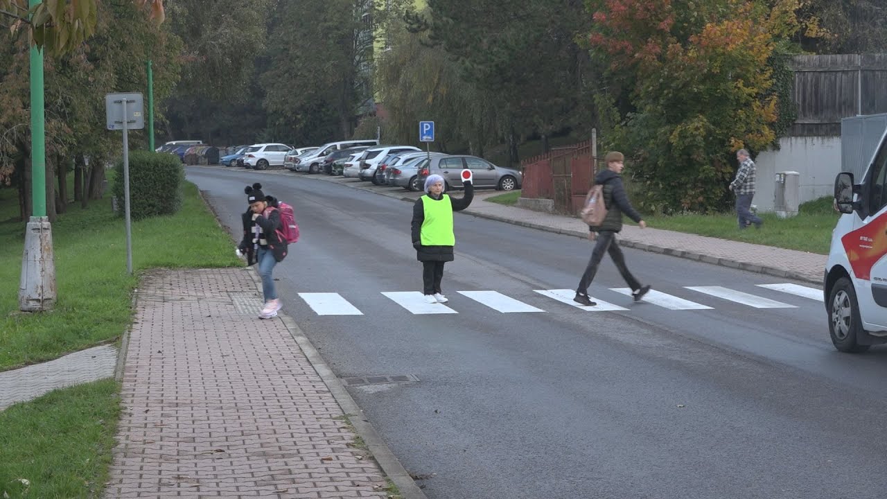 Projekt  „Pešo do školy