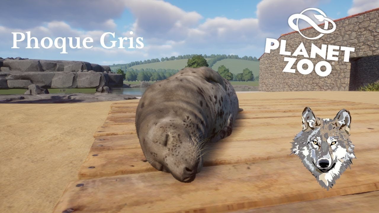 Planet Zoo Speed Build - Le Parc des Carnivores - Enclos des Phoques Gris#17