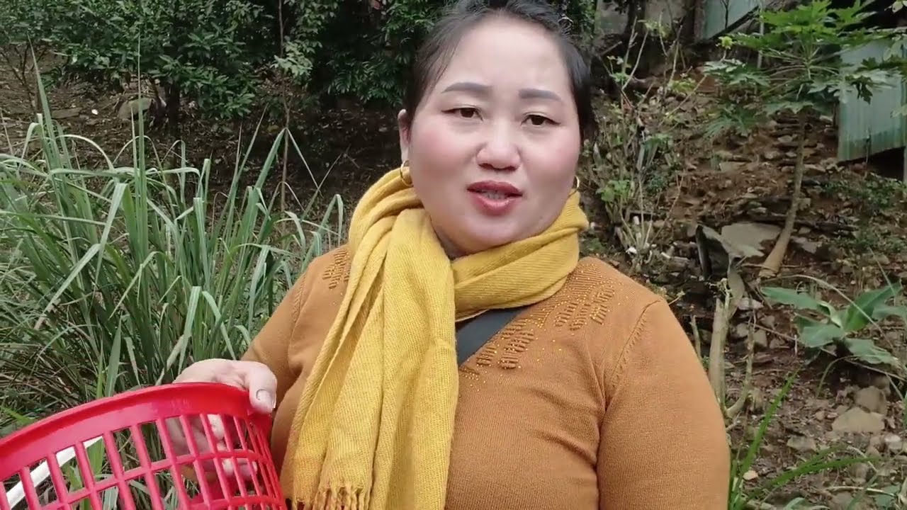 Kuv mu de txiv mo Loob 4/11/2025