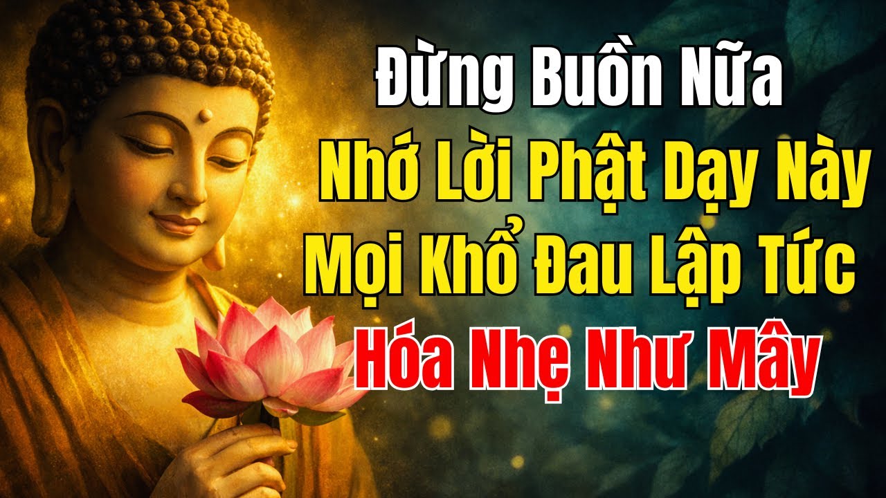 Đừng Buồn Nữa — Nhớ Lời Phật Dạy Này, Mọi Khổ Đau Lập Tức Hóa Nhẹ Như Mây