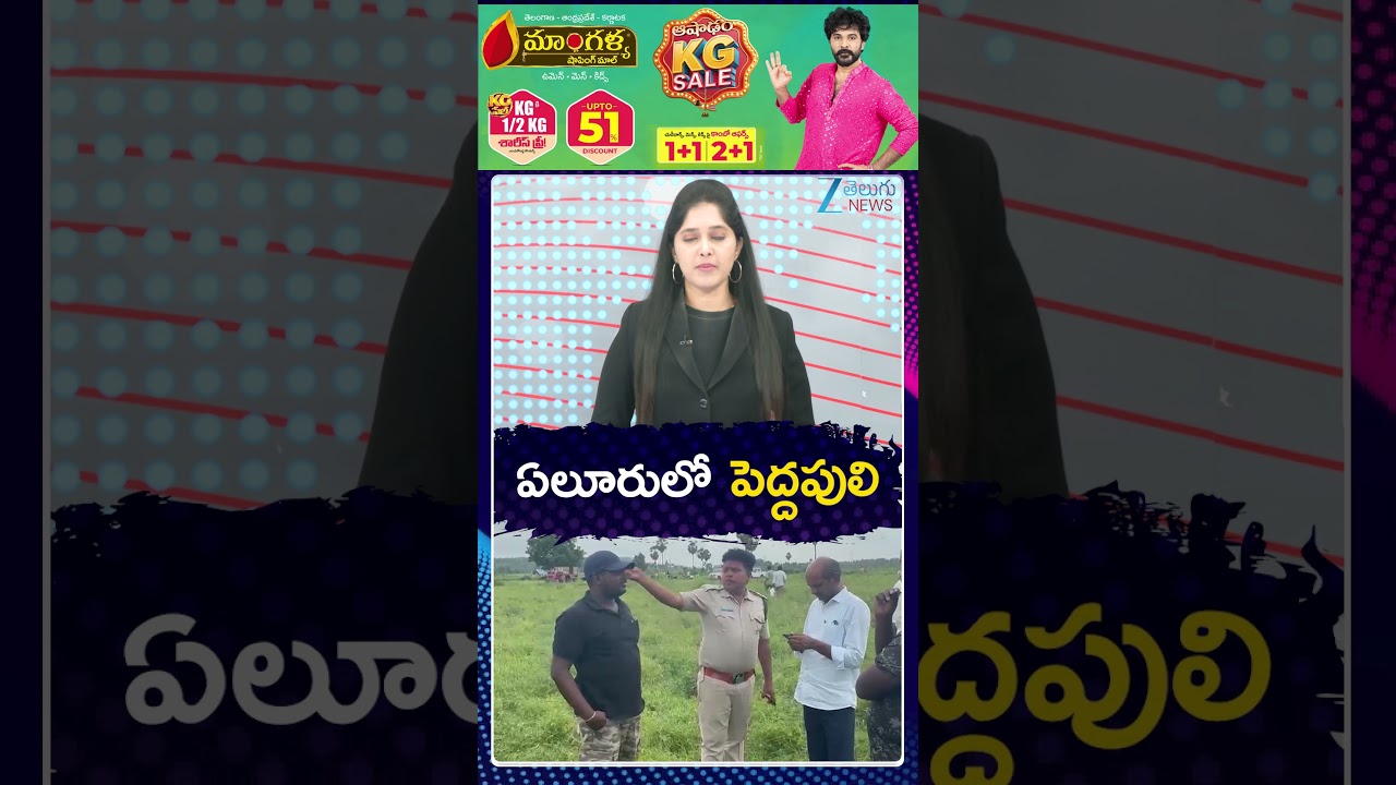 Tiger Alert | Tiger Spotted In Eluru District | ఏలూరులో పెద్దపులి | ZEE Telugu News