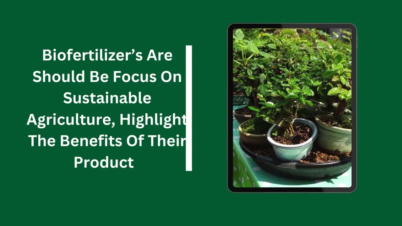 Biofertilizer Azolla , Duckweeds and Kitchen waste