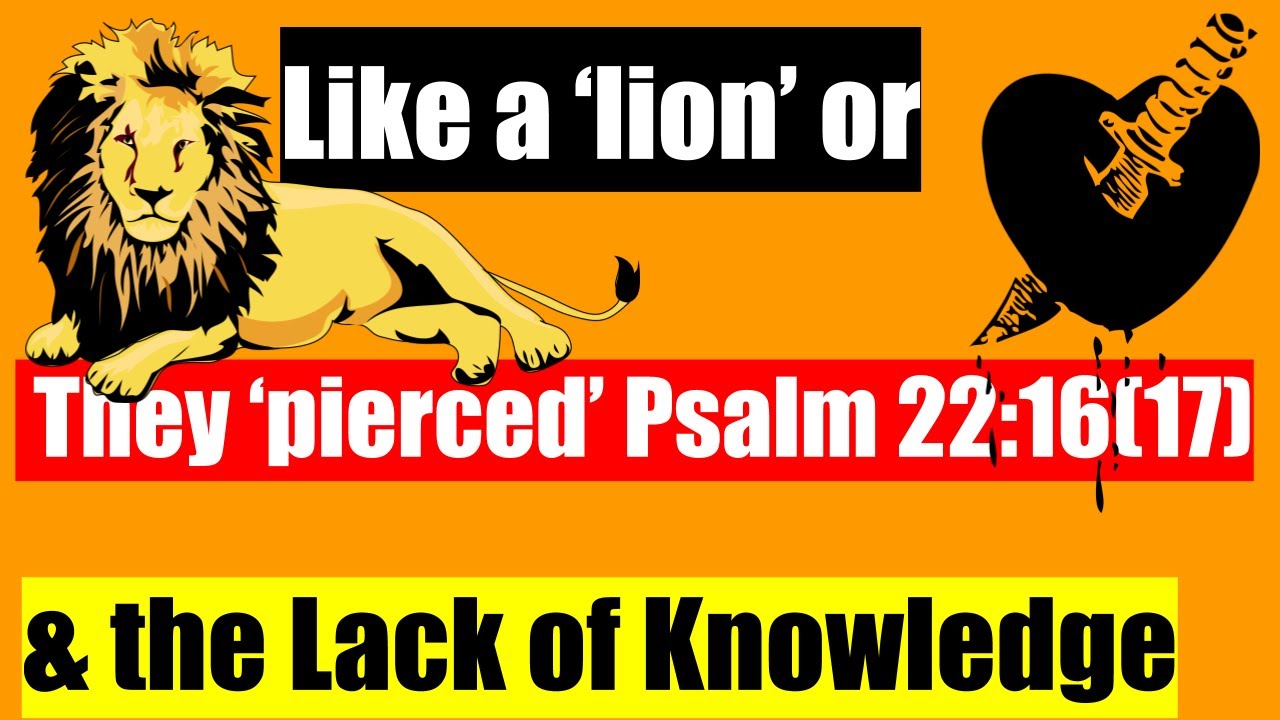 The Crucifixion Psalm, Psalms 22:17 (16) is it 'like a lion'  or 'they pierced?' Rabbi Singer Rebuke