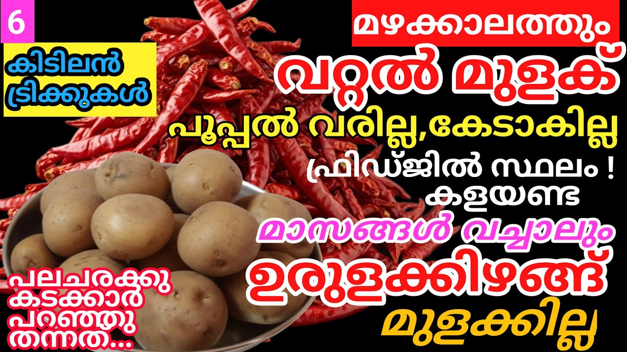 വറ്റൽമുളക് ഒരുവർഷംവച്ചാലും പൂപ്പൽവരില്ല, ഉരുളക്കിഴങ്ങ് കിലോക്കണക്കിന് വാങ്ങിയാലും മുളക്കില്ല|Tips