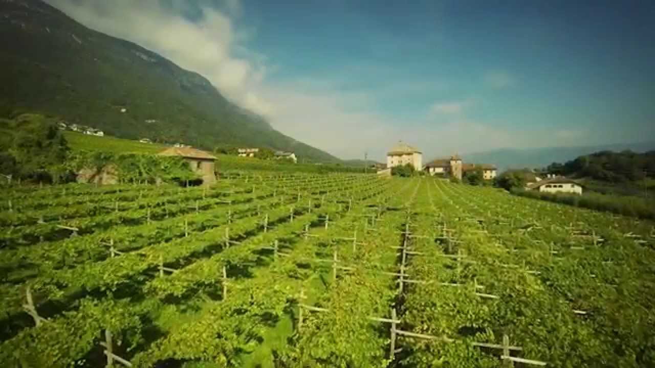 Weinberge Kellerei St Michael Eppan